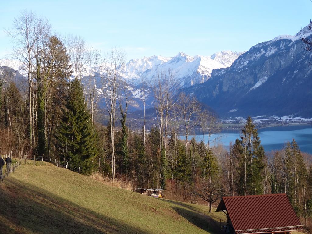 Seeli Hofstetten bei Brienz Номер фото