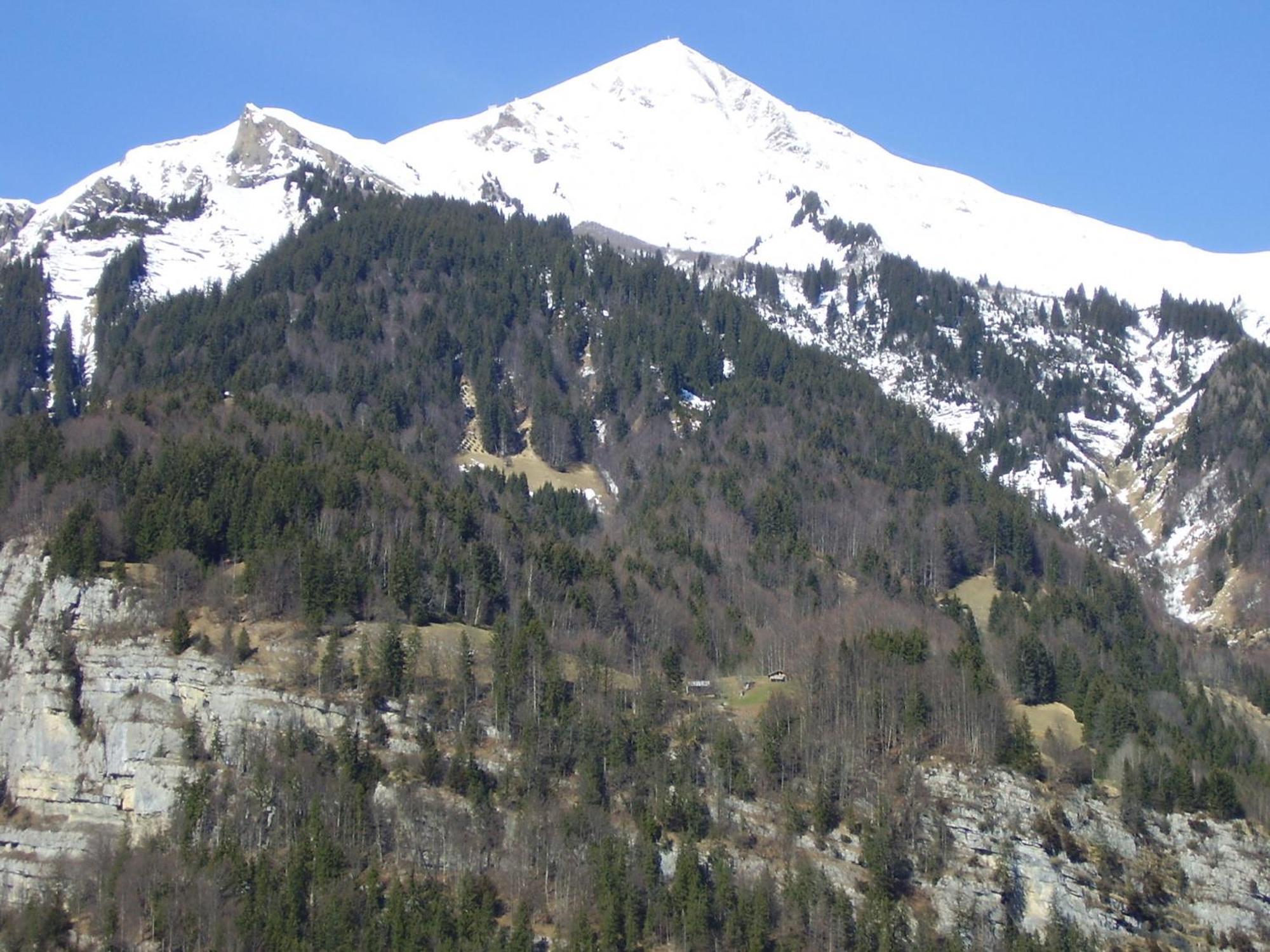 Seeli Hofstetten bei Brienz Экстерьер фото